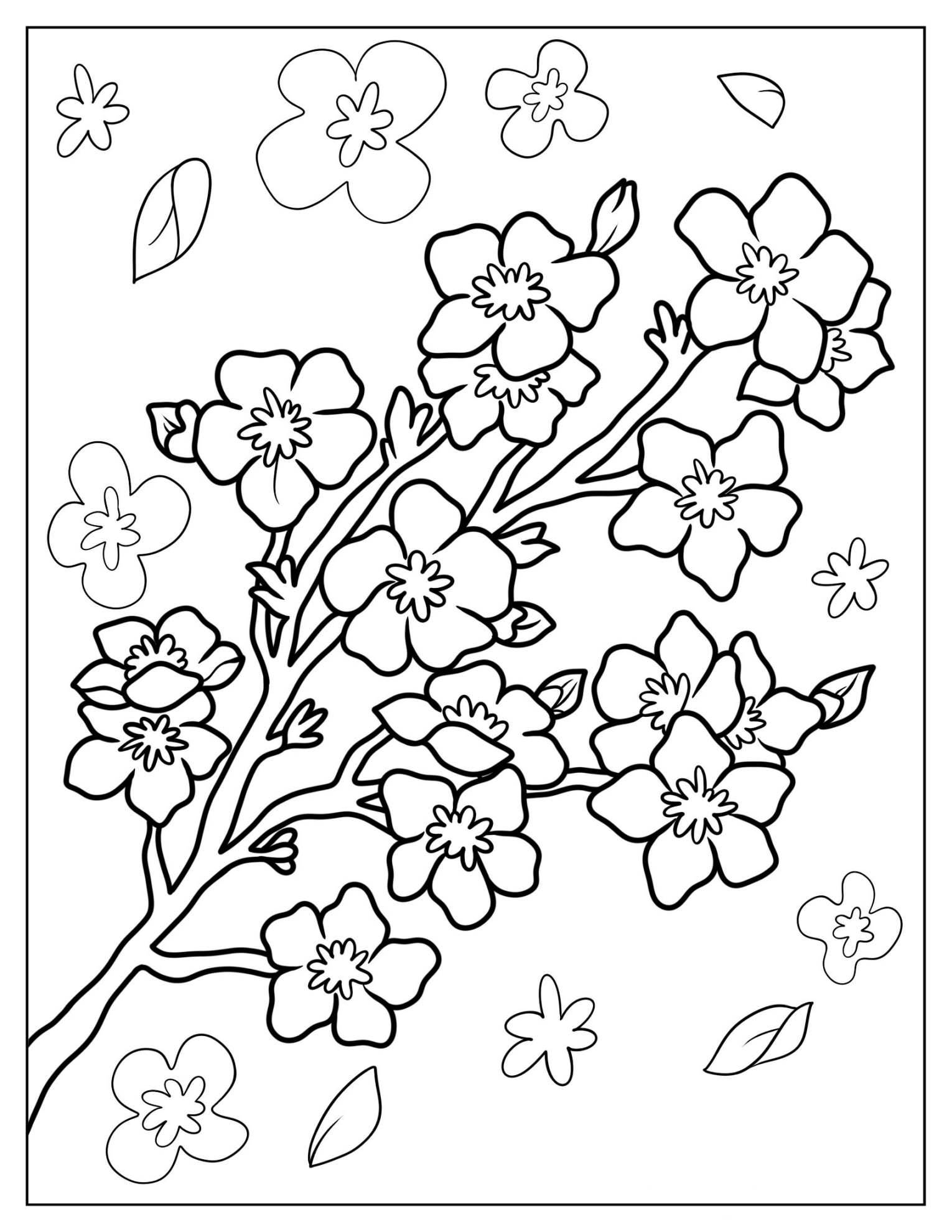 Easy Cherry Blossoms Coloring Page For Kids