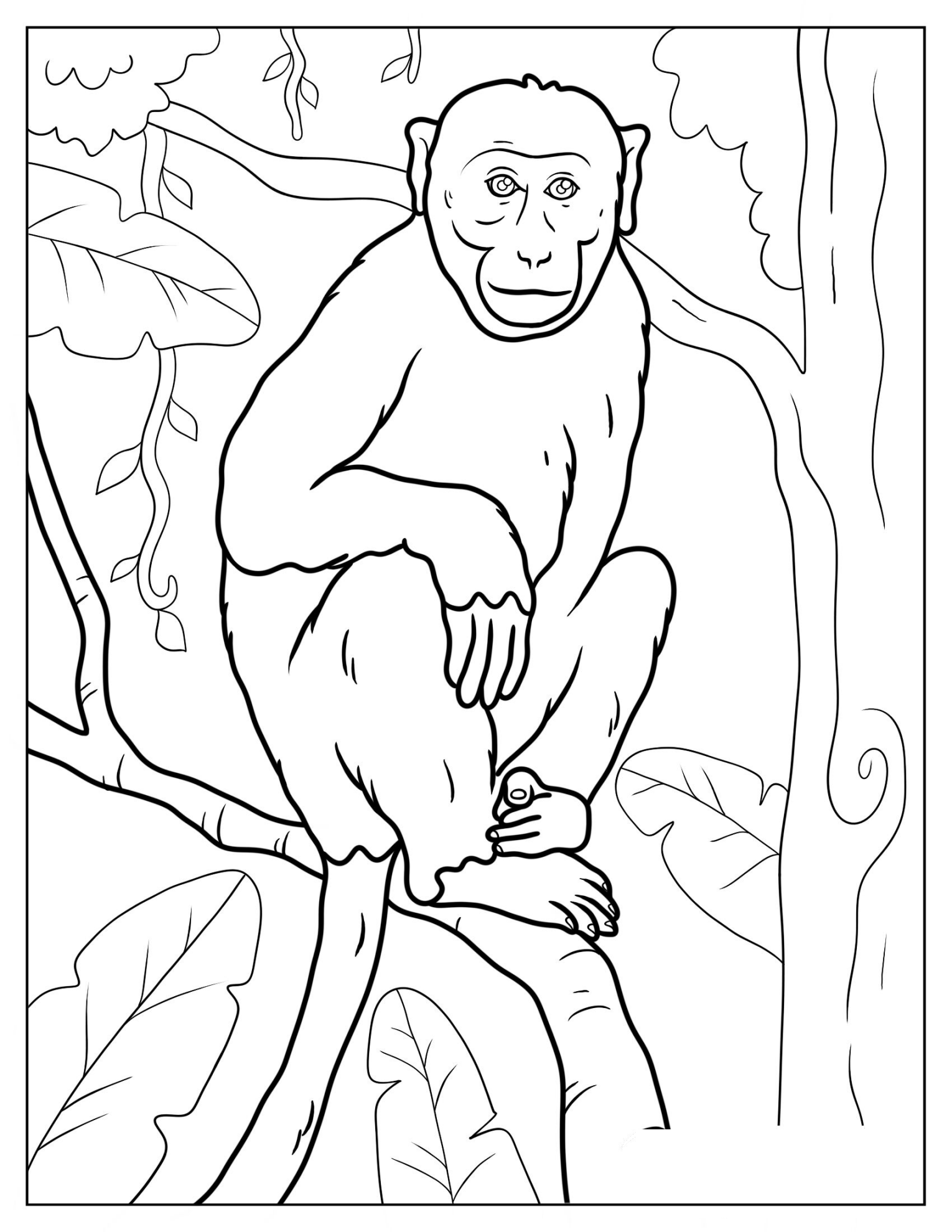 Bonnet Macaque Perched On Branch Coloring Sheet