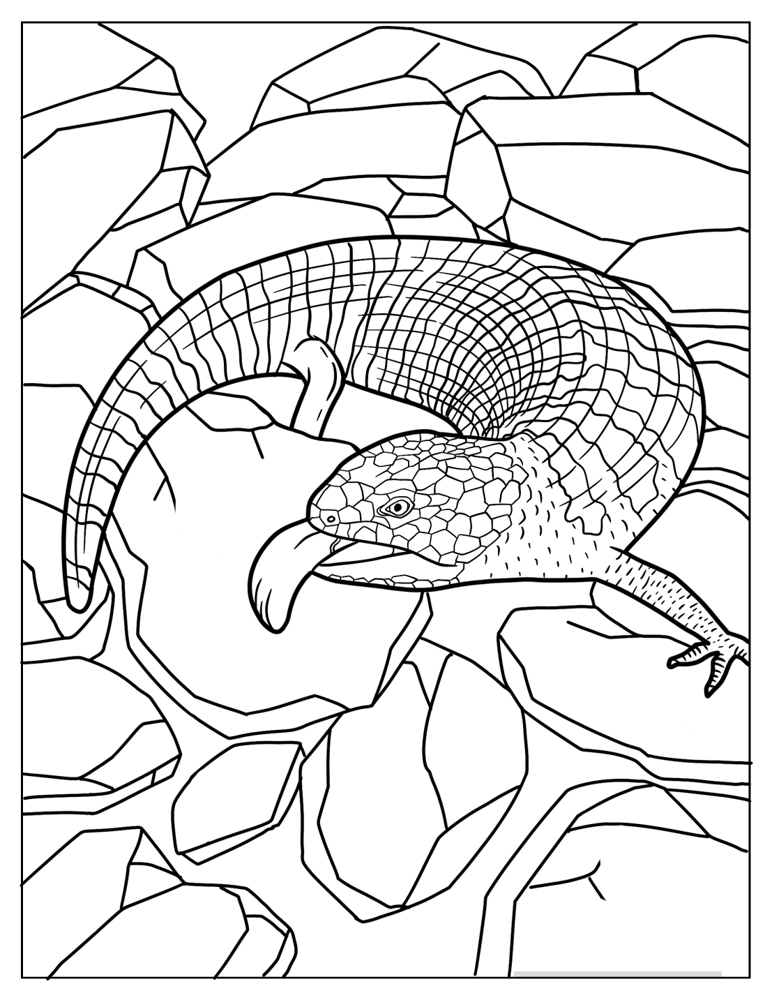 Blue-Tongued Skink Lizard Hissing Coloring Sheet