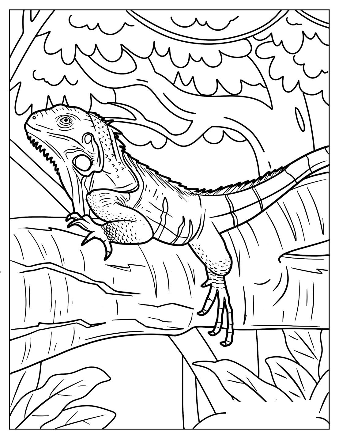 Iguana With Head Up On Tree Branch
