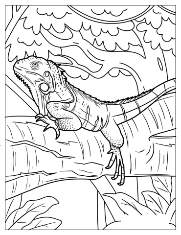 Iguana With Head Up On Tree Branch