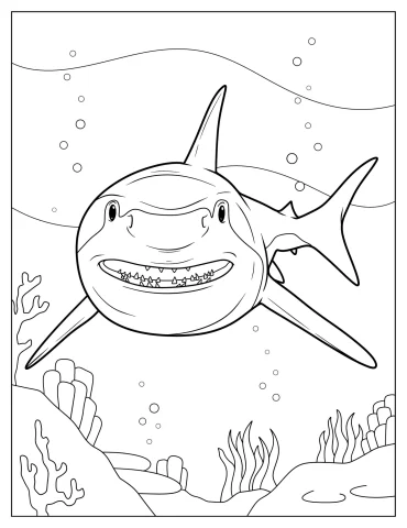 Close Up Of Realistic Great White Shark