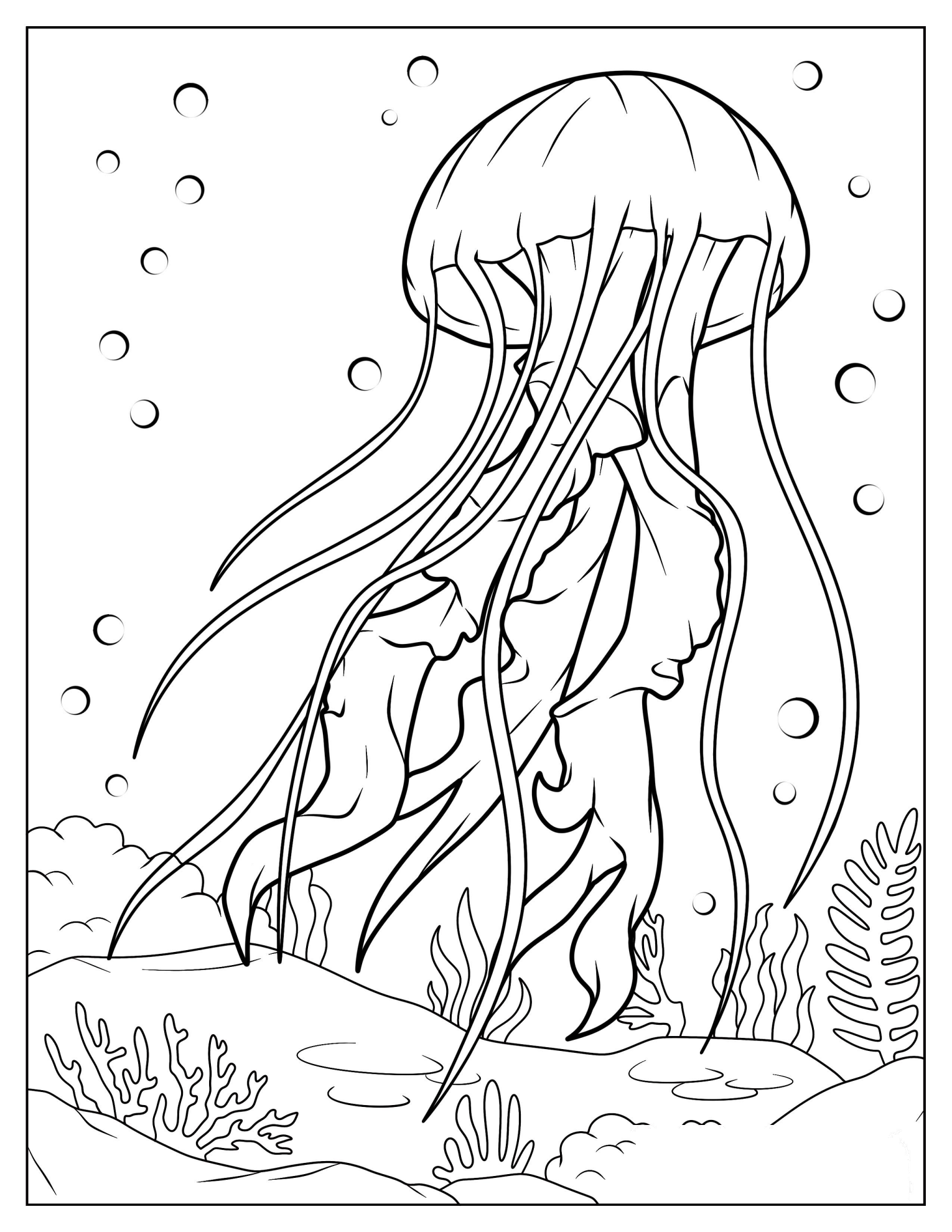 Pacific Sea Nettle Jellyfish Coloring Page