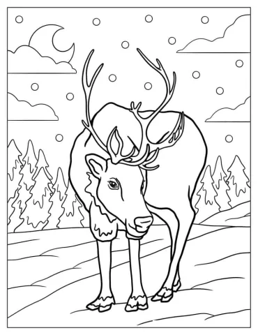 Detailed Reindeer Walking In The Wild To Color