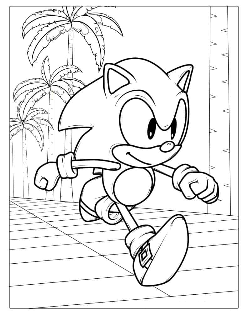 Running Sonic In Video Game
