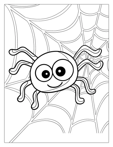 Cute Cartoon Spider On Web