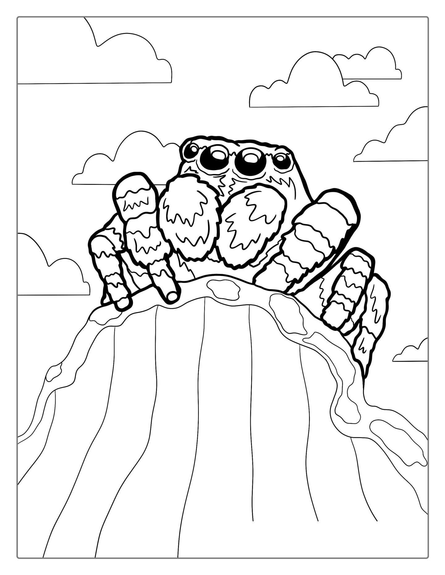 Himalayan Spider Coloring Sheet For Kids