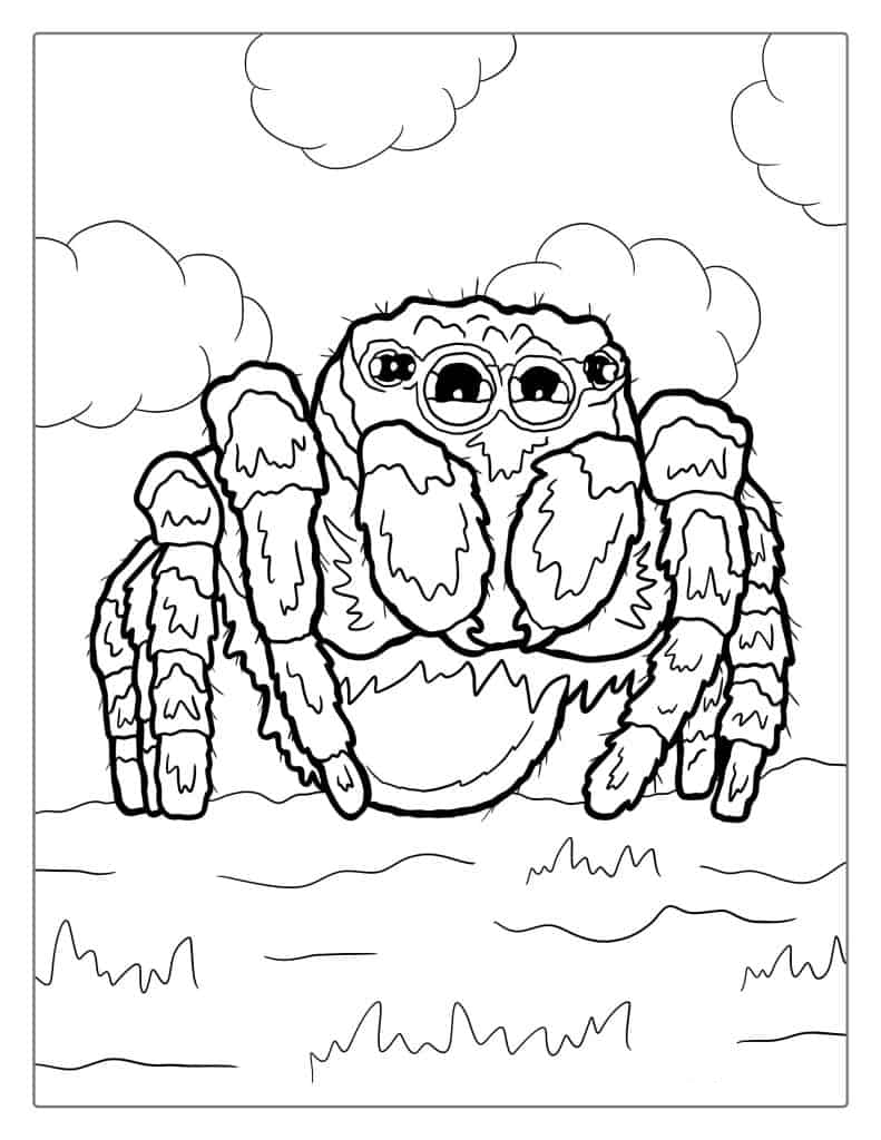 Cute Jumping Spider Coloring Page