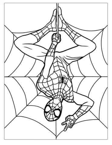 Spider-Man Hanging Upside Down Coloring Sheet