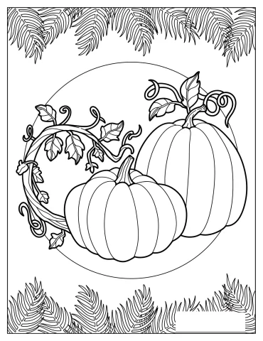 Two Different-sized Pumpkins