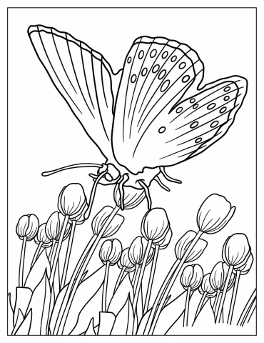 Realistic Outline Of Butterfly Hovering Over Tulips