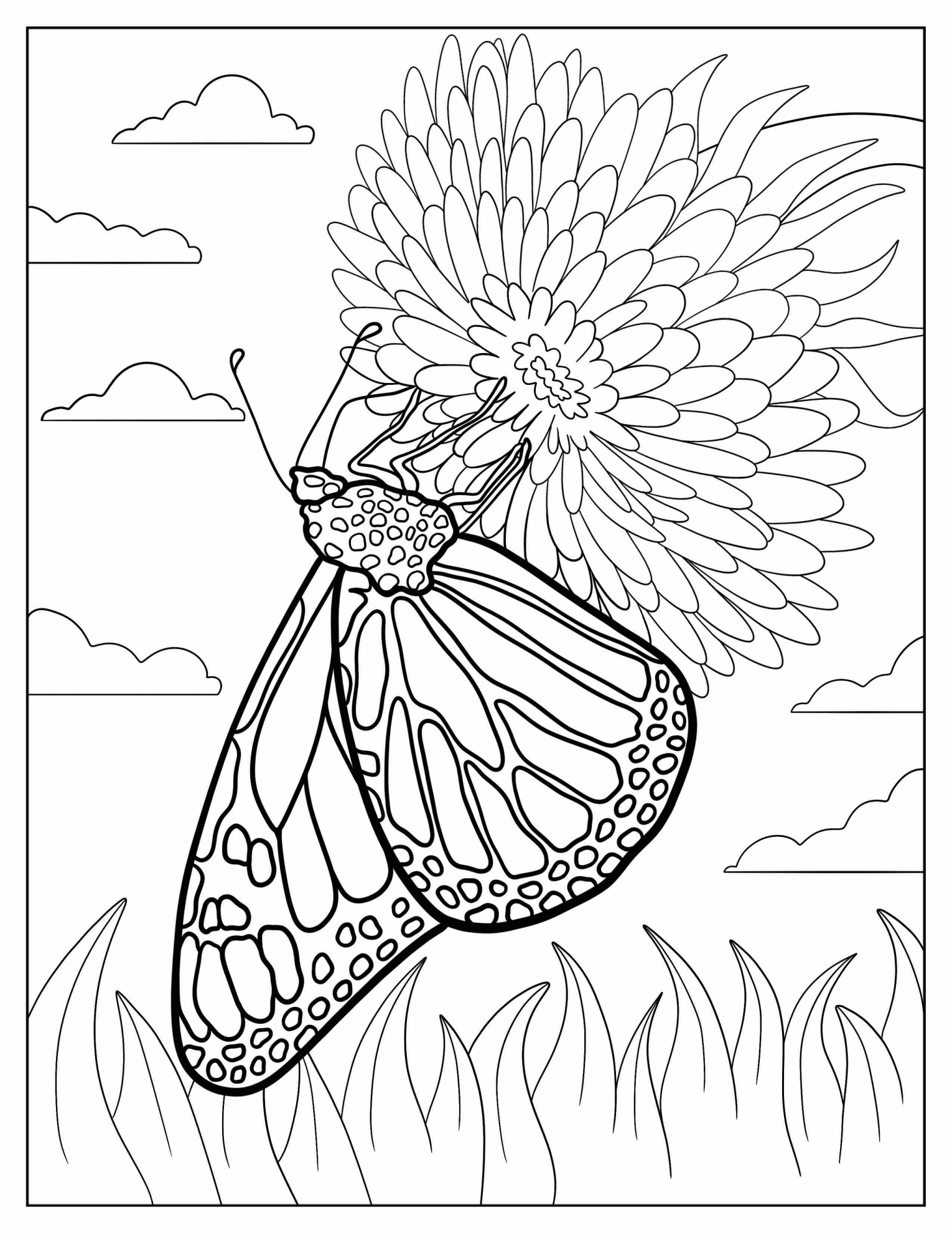 Monarch Butterfly Gathering Pollen From Zinnia Flower