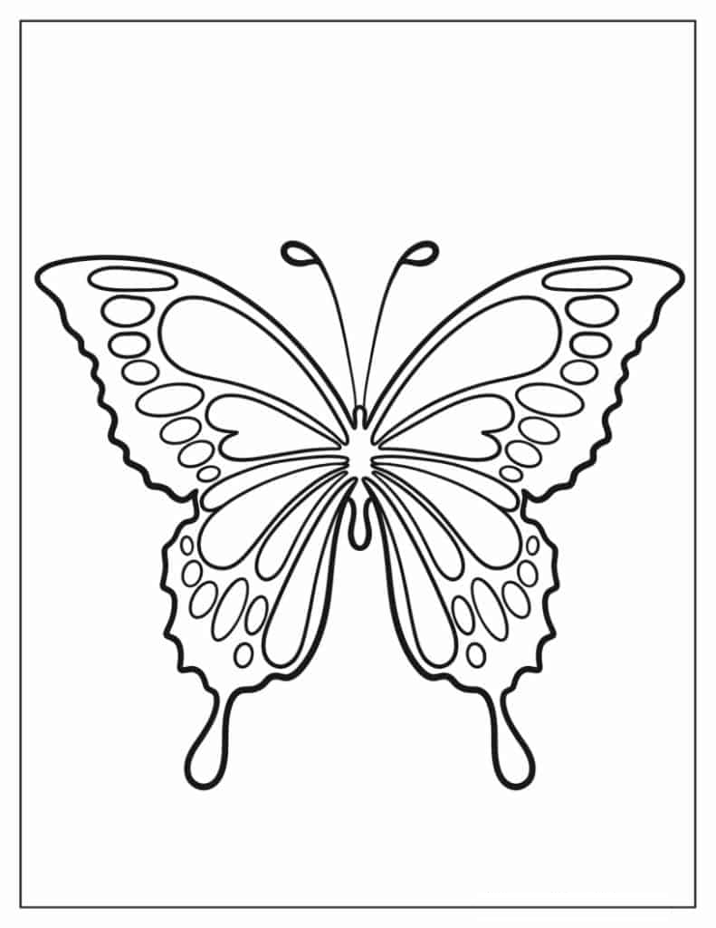 Simple Coloring Sheet Of Swallowtail Butterfly