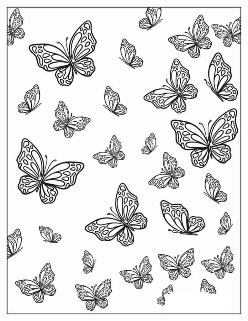 Dozens Of Butterflies Fluttering Around
