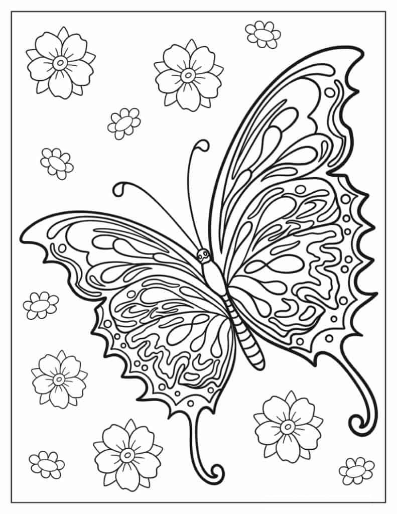 Butterfly With Large Wings Coloring In For Kids