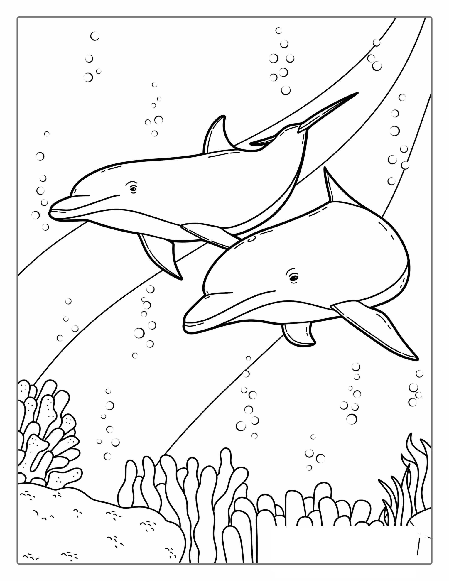 Two Dolphins Swimming On Reef Coloring Page