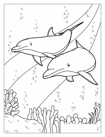Two Dolphins Swimming On Reef Coloring Page