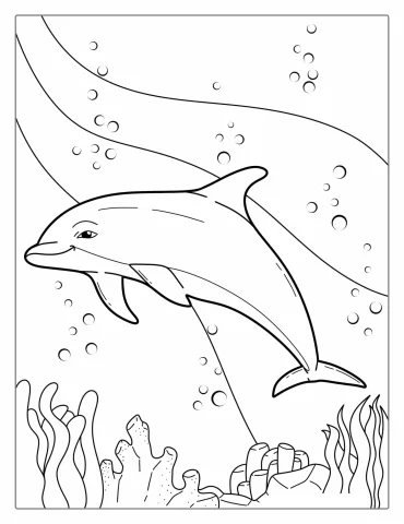 Striped Dolphin Coloring Page