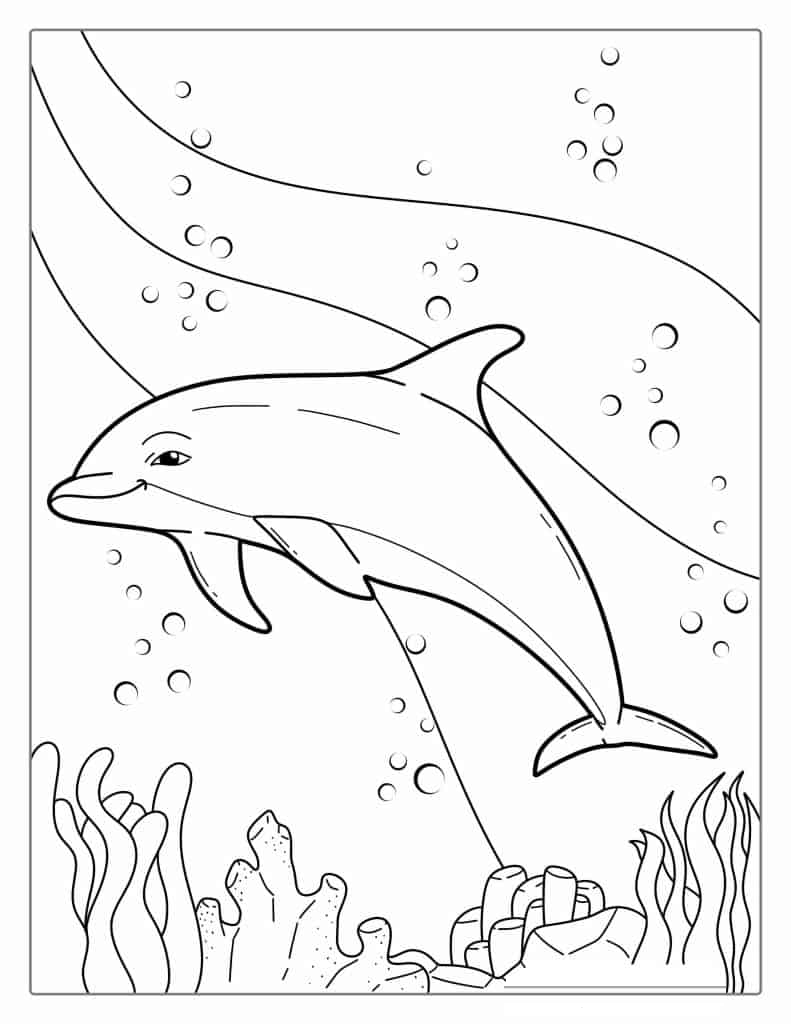 Striped Dolphin Coloring Page
