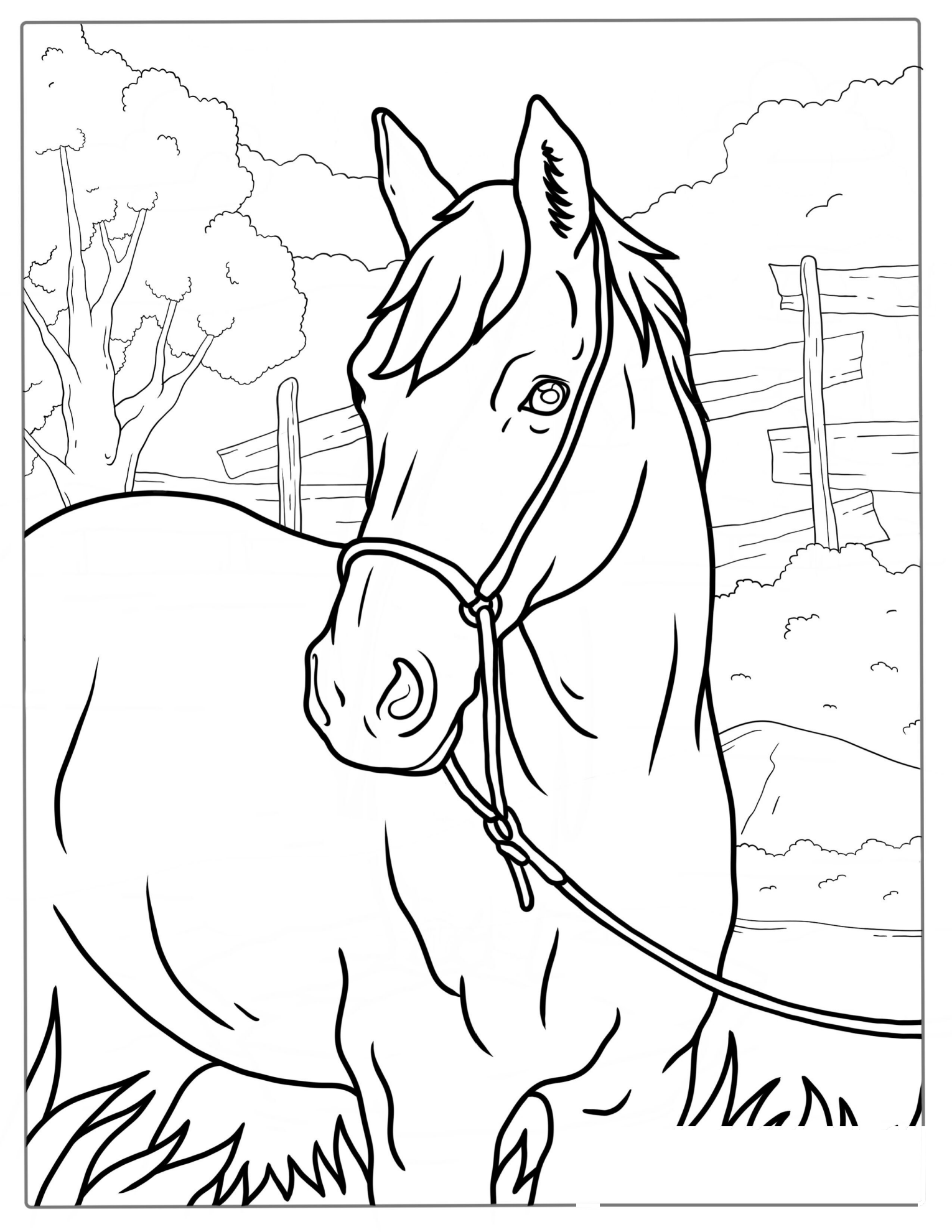 Horse Standing In Field Coloring Sheet