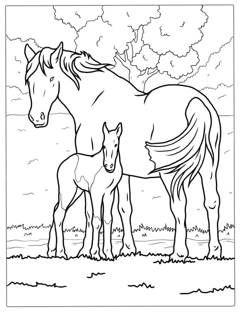 Mother Horse And Foal Coloring Page