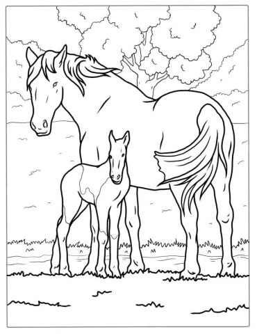Mother Horse And Foal Coloring Page