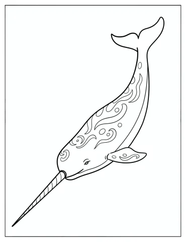 Narwhal with Enchanted Patterns