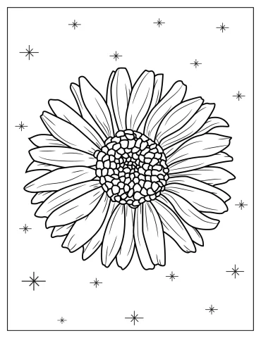 Realistic Daisy Flower To Color