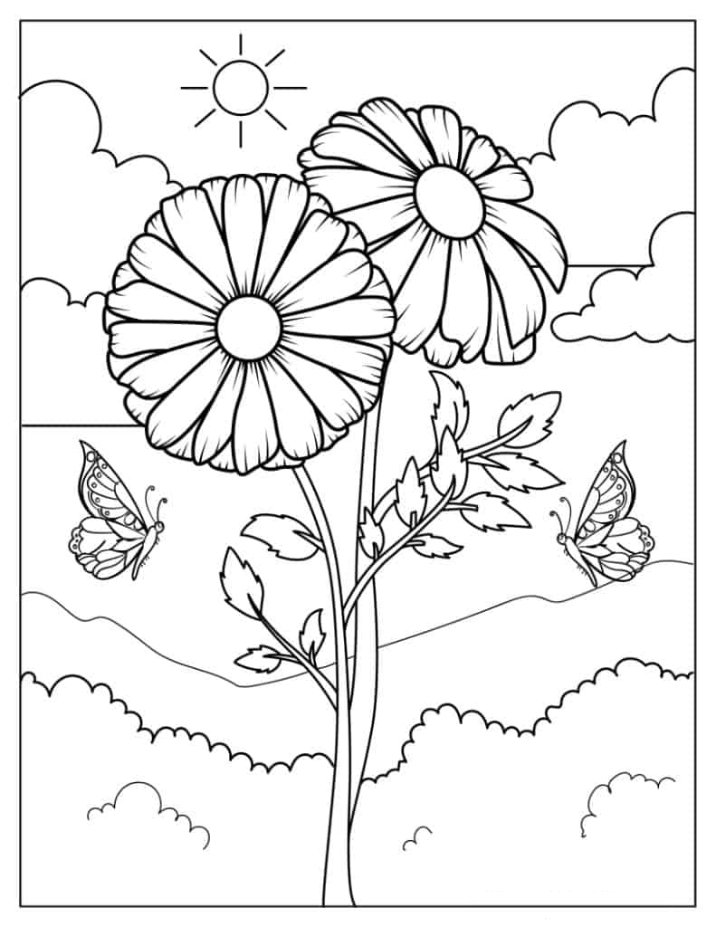 Realistic Daisy Flowers In The Wild