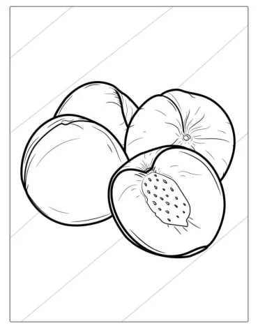Easy Apricot Coloring Page For Kids