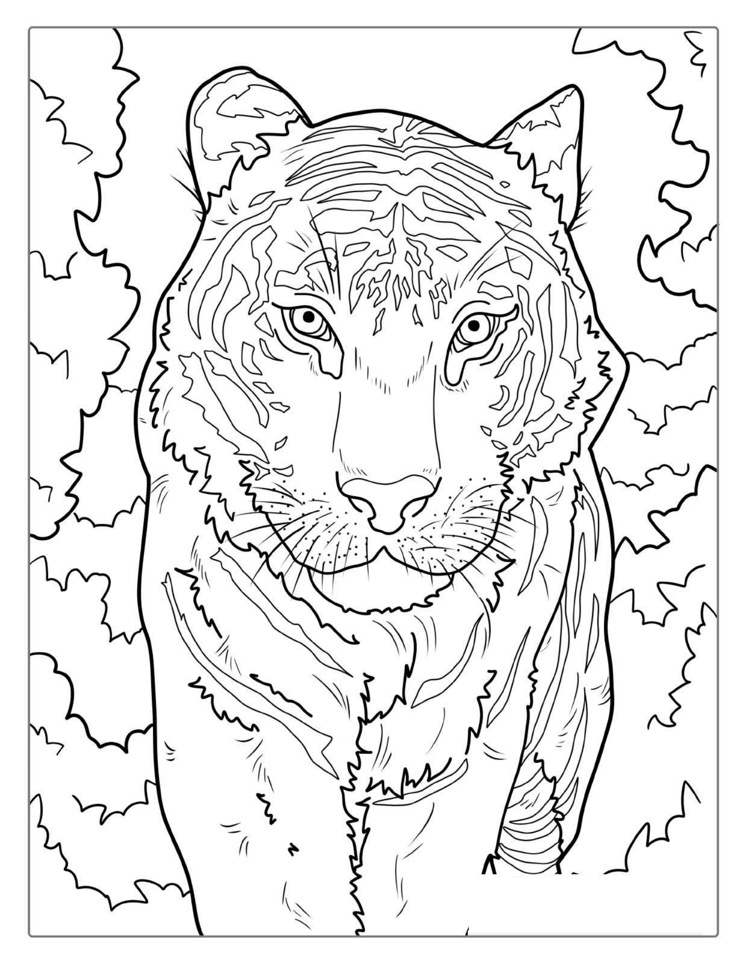 White Tiger Coloring Page