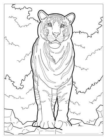 Sumatran Tiger In Wild Coloring