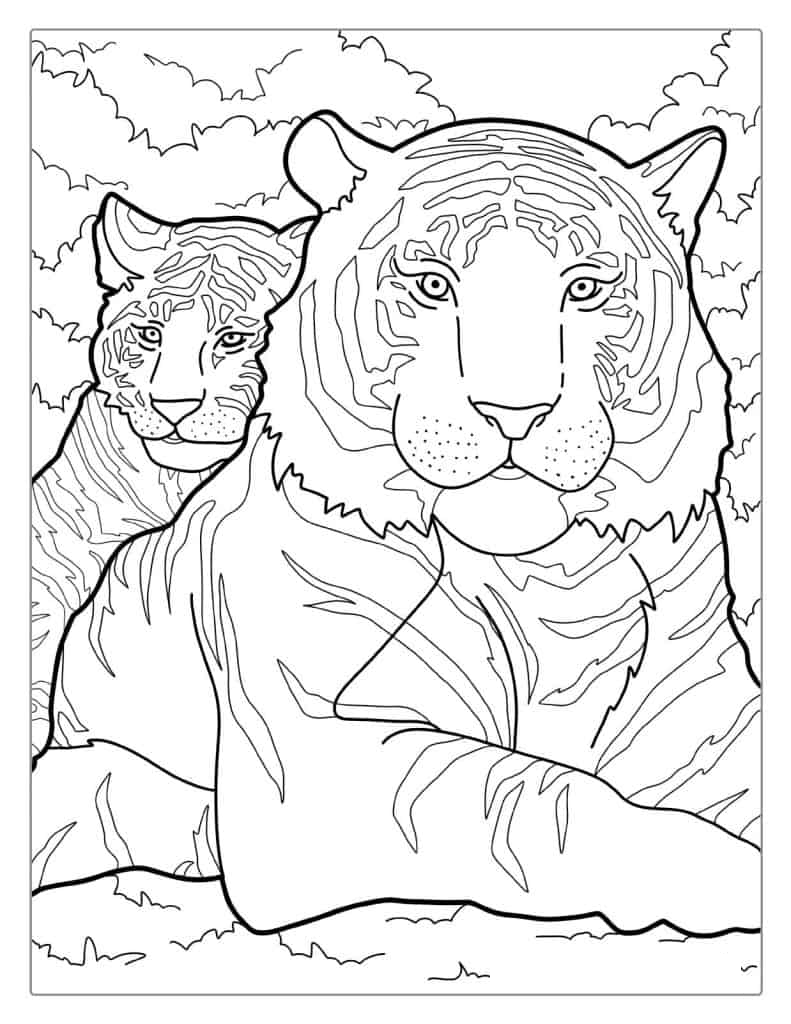 Mom Tiger With Cub Coloring