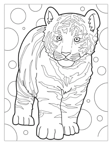 Baby Tiger Cub With Circle Backgrounds Coloring
