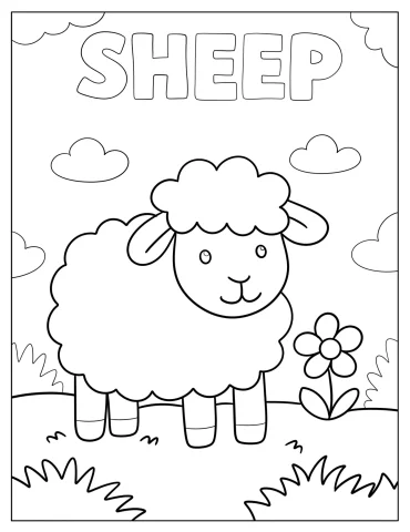 Easy Sheep with Flower and Large Text Coloring Page