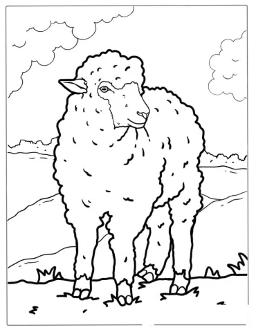 Detailed Adult Sheep Coloring Page