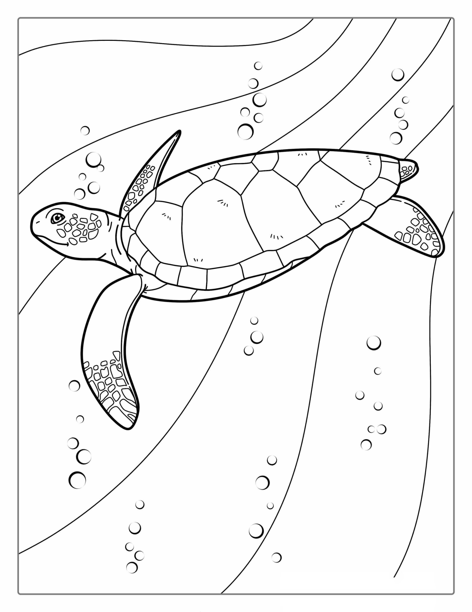 Sea Turtle Coloring Page For Kids