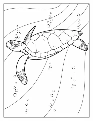 Sea Turtle Coloring Page For Kids