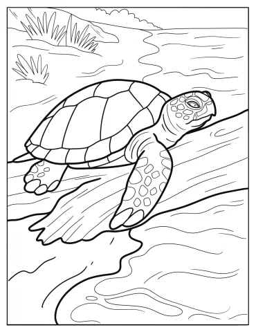 Old Turtle Climbing a Tree Branch Over a River