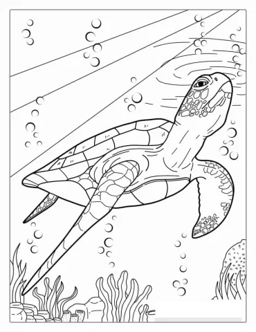 Sea Turtle Poking Head Through Water