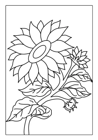 Artistic Sunflower Coloring Sheet