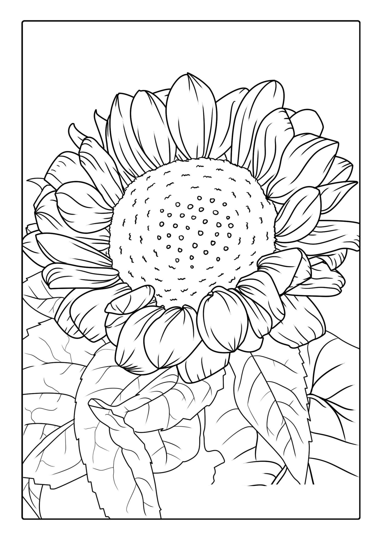 Sunflower Surrounded By Leaves