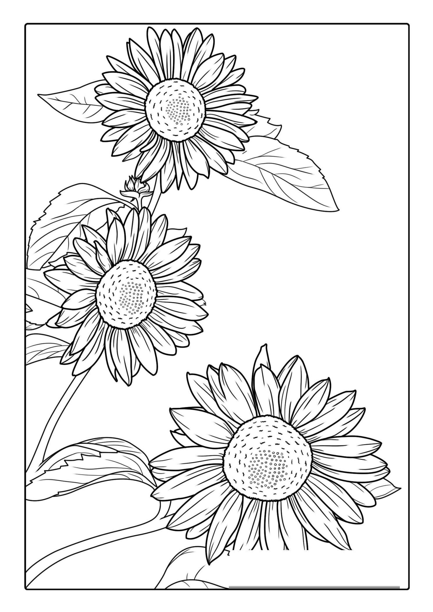 Sunflowers Blowing In The Wind For Coloring