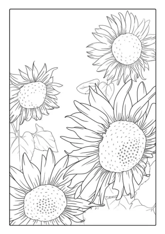 Multiple Sunflowers In Field Coloring Page