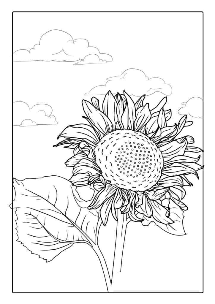 Sunflowers During A Cloudy Day
