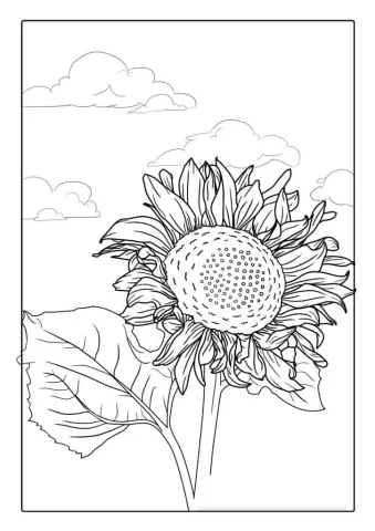 Sunflowers During A Cloudy Day