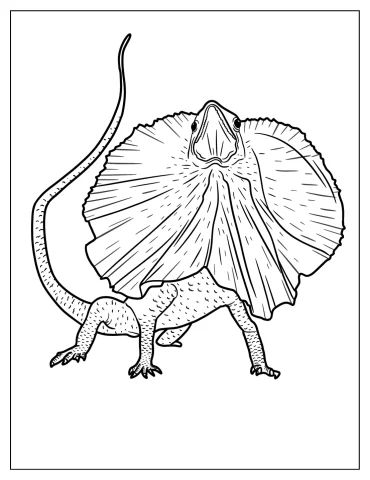 Lizard Coloring Pages