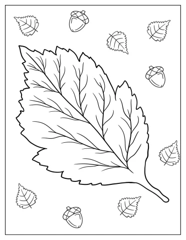 Fall Leaves Coloring Pages